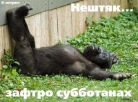 Прикольные и смешные картинки