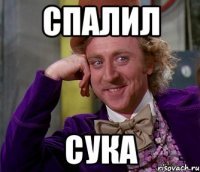 Намешалось