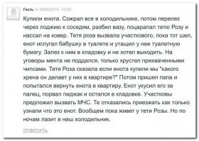 Пестрый мир енотов