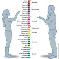 Исследовательский центр Pantone назвал главный цвет 2019 года