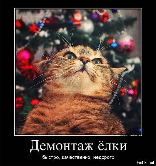 -И главное: котов к ёлке не подпускать