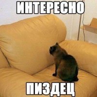 скандалыинтригирасследования