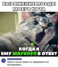 Картинки с надписями для настроения