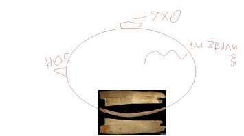 И как вы определили даметр изгиба? Тут вроде ни линейка рядом не положена, ни пачка сигарет. Да и гнуть изделия из бивней умели как минимум в бронзовом веке (если не раньше). Теперь я назову свои соображения о размере этого обломка: предположим что толщина верёвки (сплетённой из волос мамонта) составляет 2.5мм, соответственно если это не украшение, то даметр отверстия пусть будет 5-10мм; длина черепа человека 17-22см, пусть будет 200мм, я нарисовал один из возможных вариантов ношения сей диадемы
на моём экране 16,5см, реальная длина 20см, значит масштаб примерно 0,8, диаметр отверстия на экране 4мм, что даёт нам 5мм диаметр реального отверстия.