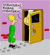 Уличная еда в Южной Корее