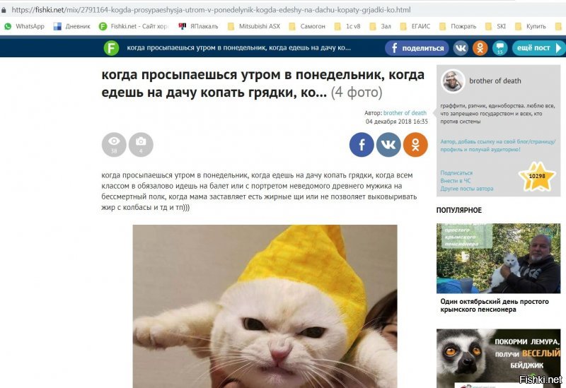 а у меня есть другое голосование. На фишках. Здесь адекватных (в теории) больше, чем на радио стыдоба. Но результаты плачевней. 
Не далее, как вчера в солянке одно у.е.би.ще выложило котиков, с некоторыми своими выс.ерами. даж заскринил, любуйтесь на резултаты: