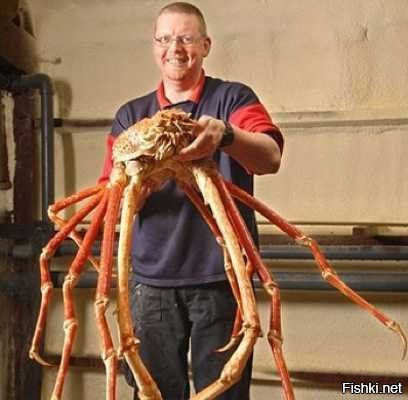 6 лет без стрижки