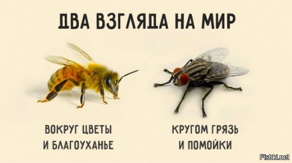 ​​В Воронежской области 79-летний пенсионер купил два пластиковых окна для ра...