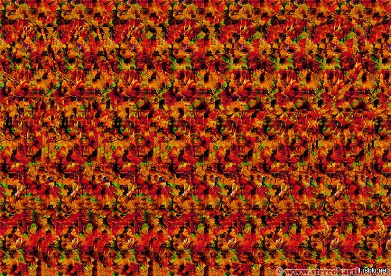 Минуту всматривалась в стереокартинку....