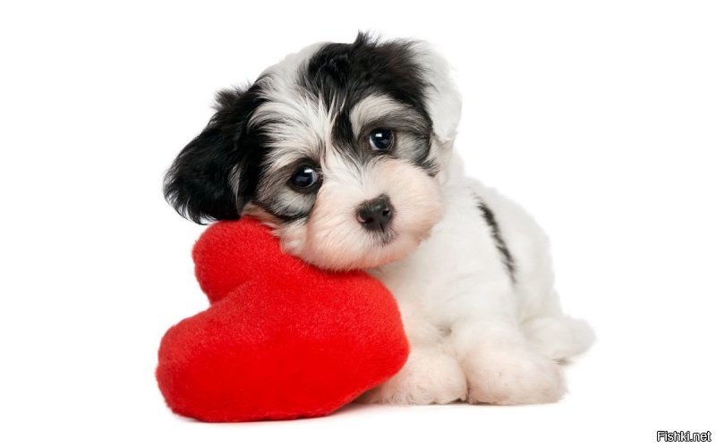 Босоножка теперь в сапожках )))