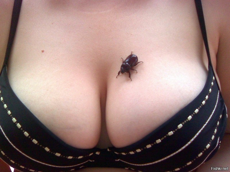 а чо имя.. Я щас фотку скину. вот только придумаю как без штрафа обойтись. Скажи что у правой девки на фото не точно такие же!