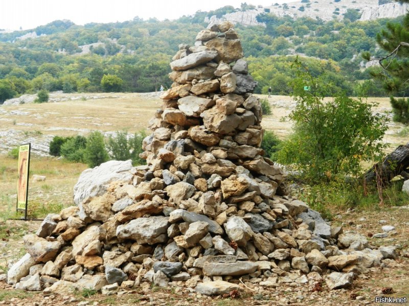 Солянка от 07.12.2018