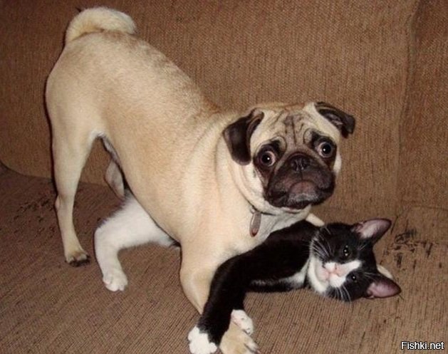 натюрморт пятничный