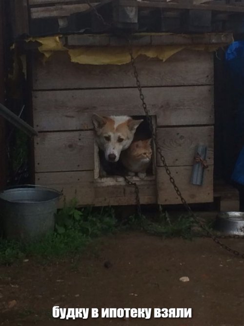 Солянка от 07.12.2018