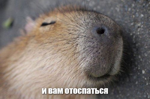 Солянка от 07.12.2018