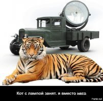 Подборка автомобильных приколов