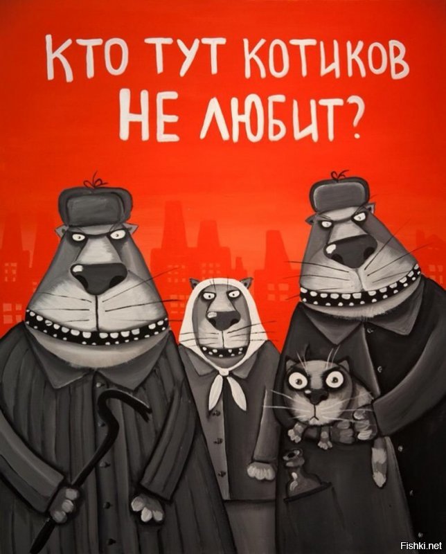 Одни коты в солянке