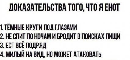 Пестрый мир енотов