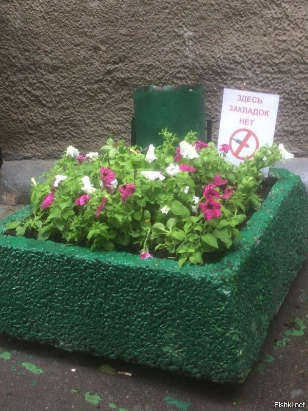 Солянка от 07.12.2018