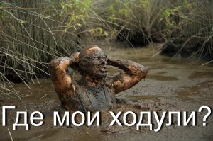 Ландес - часть Франции, где все население пользовалось ходулями