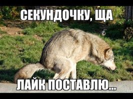 Андрей Григорьев-Аполлонов – биография, личная жизнь