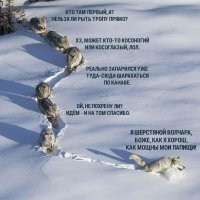 Понятно, что это коммерческий проект, и все такое, а иначе хорошее дело не выгорет. Но фотографии классные, ребята - отличные, природа супер.