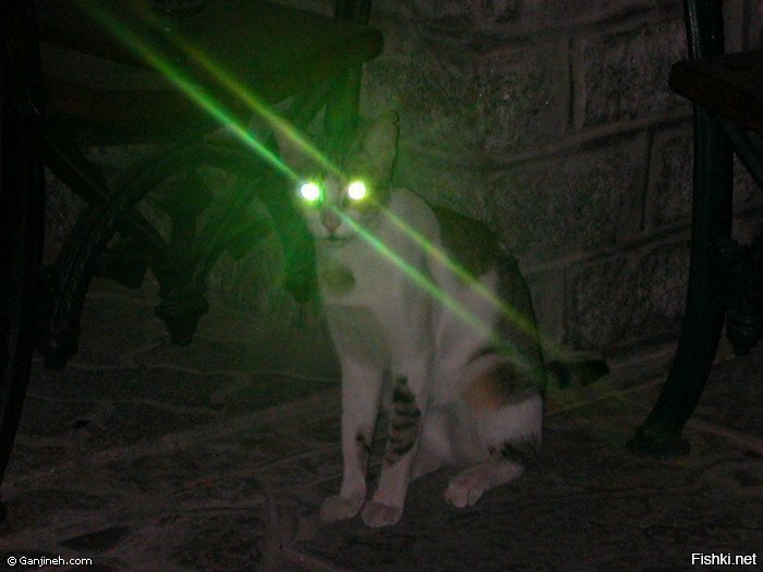 Солянка от 07.12.2018