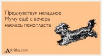 2. Тёща. Я не знаю, является ли этот родственник настолько популярен в других странах, как на территории бывшего СССР.

3. Супружеские взаимоотношения: измены, ссоры и т.п.

4. Народные сказки и творчество русских классиков так же нередко ложатся в основу шуток и анекдотов.