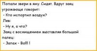 8. Алкоголизм и пьянство. Здесь мы нередко относимся к себе с самоиронией

9. Шутки и анекдоты про зверей

10. Вовочка - любимый всеми персонаж для шуток и анекдотов 

Дополняйте!