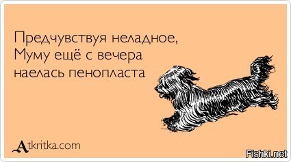 2. Тёща. Я не знаю, является ли этот родственник настолько популярен в других странах, как на территории бывшего СССР.

3. Супружеские взаимоотношения: измены, ссоры и т.п.

4. Народные сказки и творчество русских классиков так же нередко ложатся в основу шуток и анекдотов.