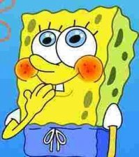 Любопытный эксперимент: дельфинам показали Губку Боба, и им понравилось!