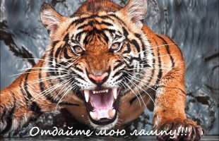 Подборка автомобильных приколов