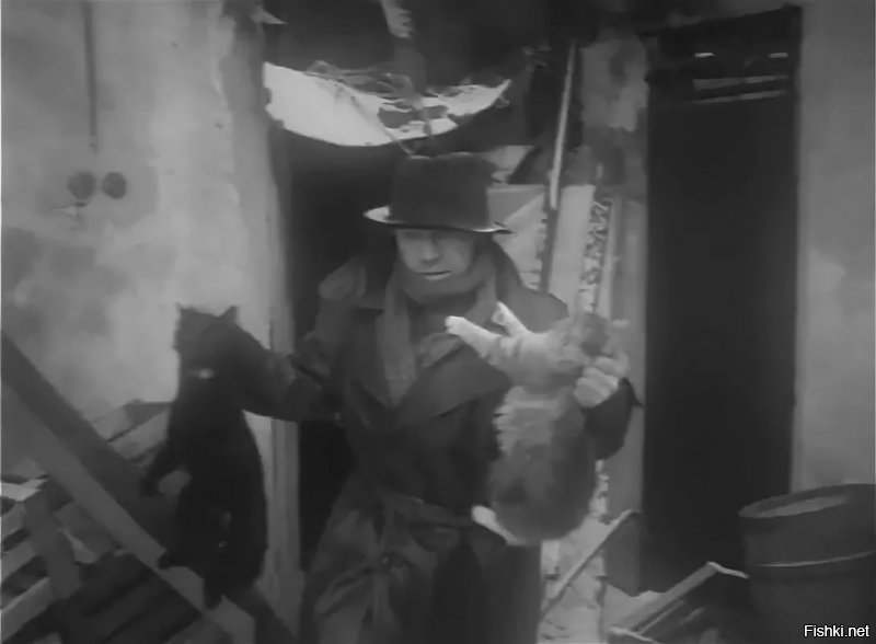 - На польты пойдут. Белок из них будем делать. На рабочий кредит...