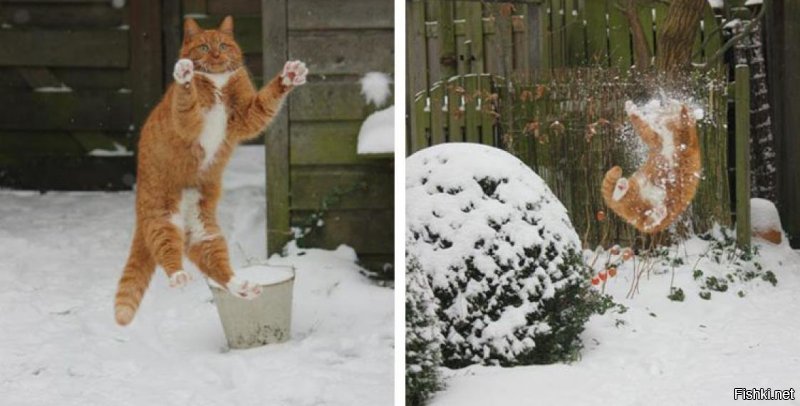 Солянка от 07.12.2018