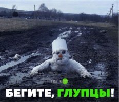 Прикольные и смешные картинки