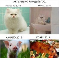 Прикольные и смешные картинки