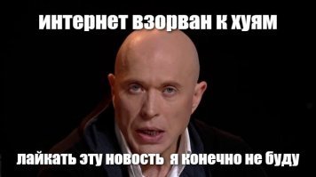 Во время фотосессии со львёнком Анфиса Чехова была немножко покусана им