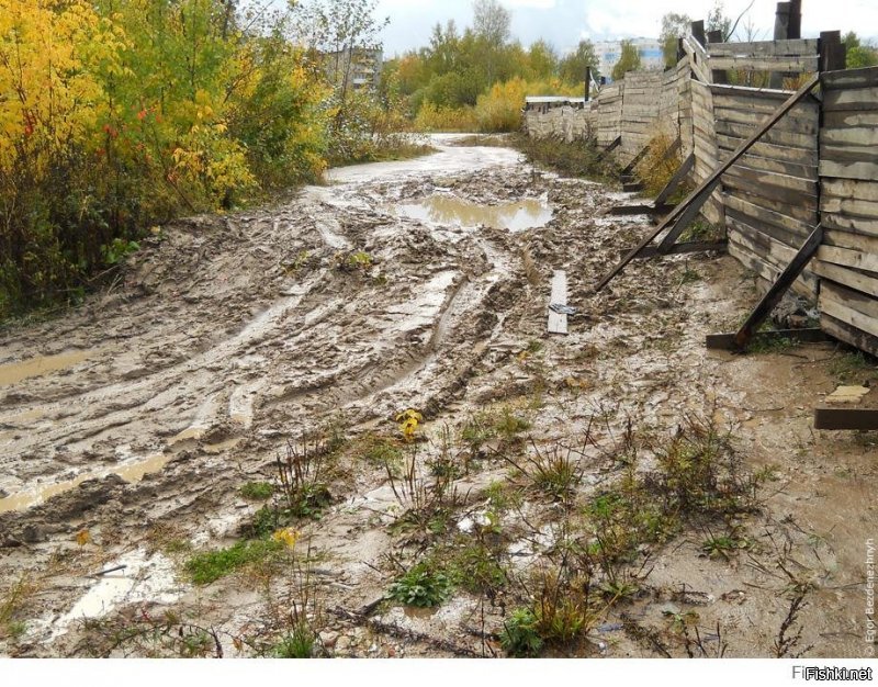 Красотища неописуемая!-...воскликнули местные..