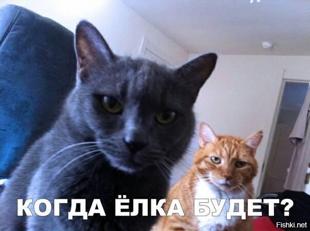 Солянка от 07.12.2018