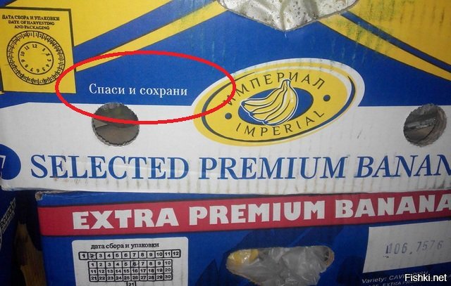 Во имя хурмы, сливы и святого банана!