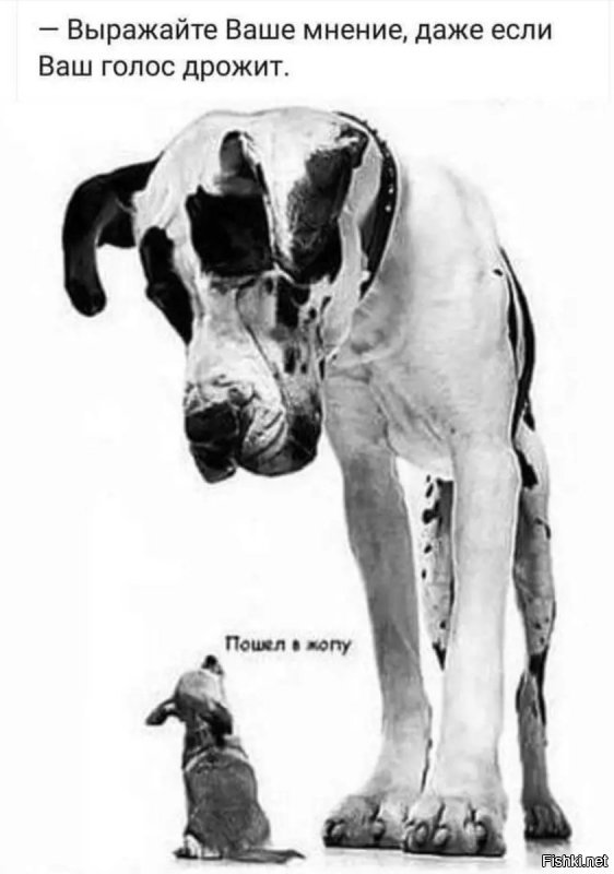 Солянка от 07.12.2018