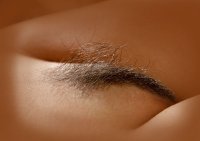 Вот:



Только не бИбер а бОбер. :)