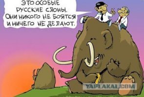 Россия оказалась родиной титанозавров