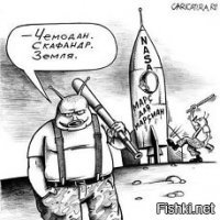 Соцсети жгут: реакция на первые снимки марсианского зонда InSight