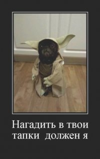 Специально для тебя.