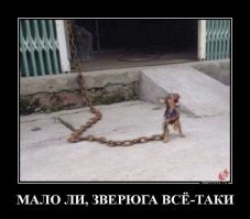 (С)  грызуны «размером с собаку»(/С)
Вот  с эту, что ли?
