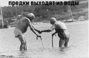 Остальное фейк