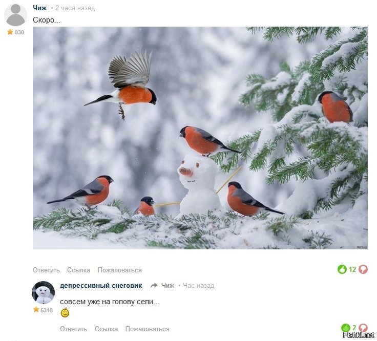 Солянка от 08.12.2018