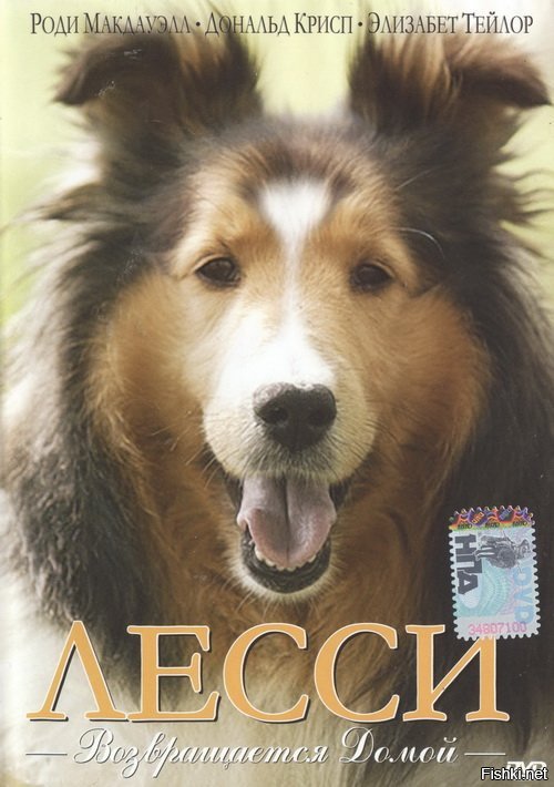 Фильм еще давным-давно был ..Лесси