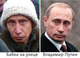 Да все они родственники! А вы не знали?